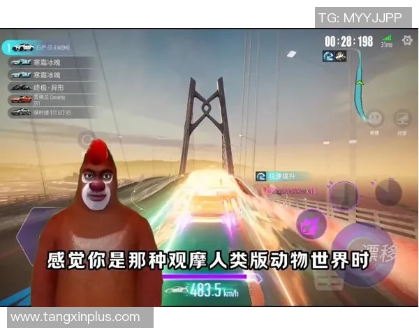 糖心vlogapp官网入口ios-探索糖心Vlog App，官网入口及iOS下载指南-糖心vlogapp官网入口ios
